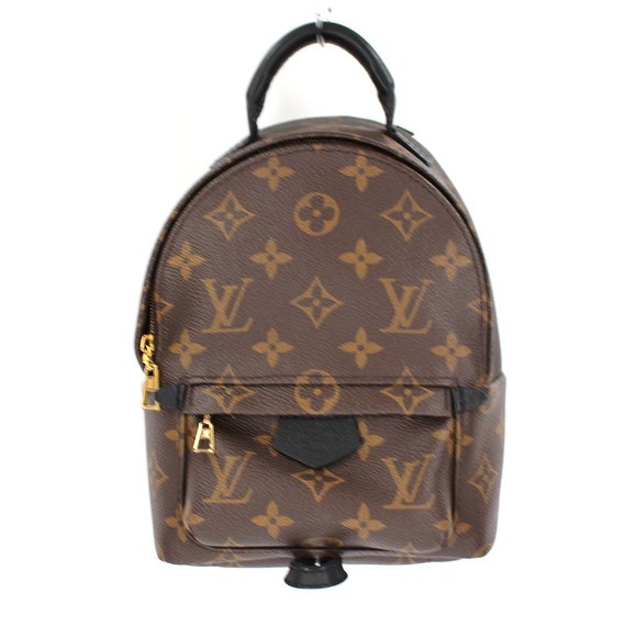 Louis Vuitton Handbags - Louis Vuitton Monogram Palm Springs Mini Backpack Brown Black Cowhide Trim Bag